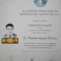 Ampliar imagen: certificate 14