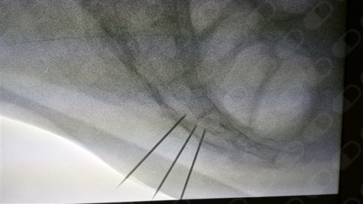 Jorge García Andreu-6