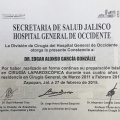 Ampliar imagen: certificate 1