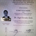 Ampliar imagen: certificate 1