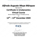 Ampliar imagen: certificate 4