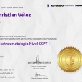 Ampliar imagen: certificate 11