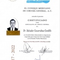 Ampliar imagen: certificate 5