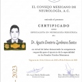Ampliar imagen: certificate 2
