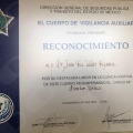 Ampliar imagen: certificate 29