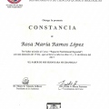 Ampliar imagen: certificate 3