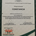 Ampliar imagen: certificate 78