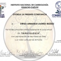 Ampliar imagen: certificate 3