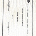 Ampliar imagen: certificate 3