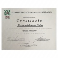 Ampliar imagen: certificate 9