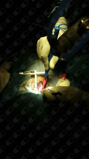 Didier López Pérez-9