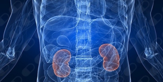 Emmanuel Ernesto Perez Granados-10