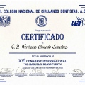 Ampliar imagen: certificate 4