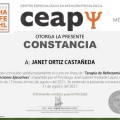 Ampliar imagen: certificate 19