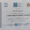 Ampliar imagen: certificate 26