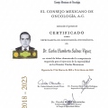 Ampliar imagen: certificate 2