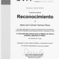 Ampliar imagen: certificate 5