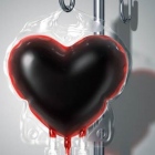 Dra. Maria Victoria Garcia V.