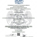 Ampliar imagen: certificate 11