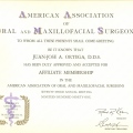 Ampliar imagen: certificate 5