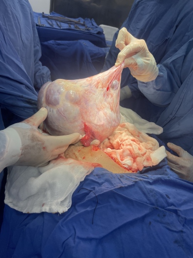 Jose Rafael Vargas Lopez-11