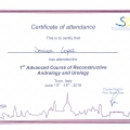 Ampliar imagen: certificate 7