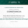Ampliar imagen: certificate 3