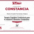 Ampliar imagen: certificate 10