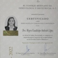 Ampliar imagen: certificate 2