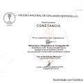 Ampliar imagen: certificate 11