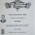 Ampliar imagen: certificate 4