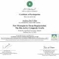 Ampliar imagen: certificate 11