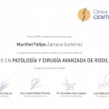 Ampliar imagen: certificate 6
