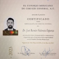 Ampliar imagen: certificate 4
