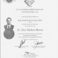 Ampliar imagen: certificate 4