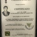 Ampliar imagen: certificate 5