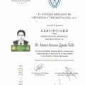 Ampliar imagen: certificate 6