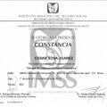 Ampliar imagen: certificate 8