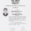 Ampliar imagen: certificate 5