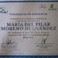 Ampliar imagen: certificate 7