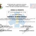 Ampliar imagen: certificate 6