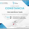 Ampliar imagen: certificate 45