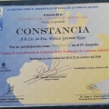 Ampliar imagen: certificate 47