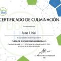 Ampliar imagen: certificate 7