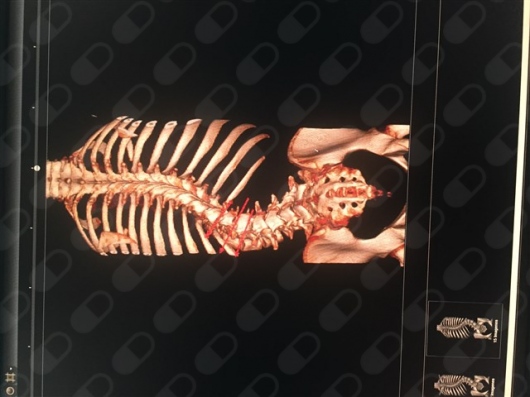 Jorge Salvador De La Cruz Alvarez-7