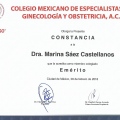 Ampliar imagen: certificate 5