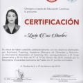 Ampliar imagen: certificate 4