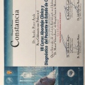 Ampliar imagen: certificate 5