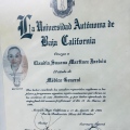 Ampliar imagen: certificate 3