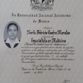 Ampliar imagen: certificate 3